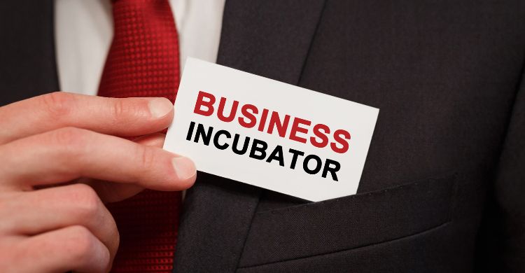 Empowering Academic Institutions through Incubation Centers: A Path to Innovation and Entrepreneurship by Seagull Venture
